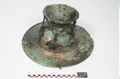 Foto von Bronzebreitrandfußschale (NHMW-PRAE-025437)